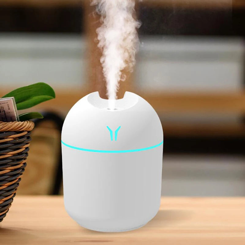 Mini USB Portable Humidifier