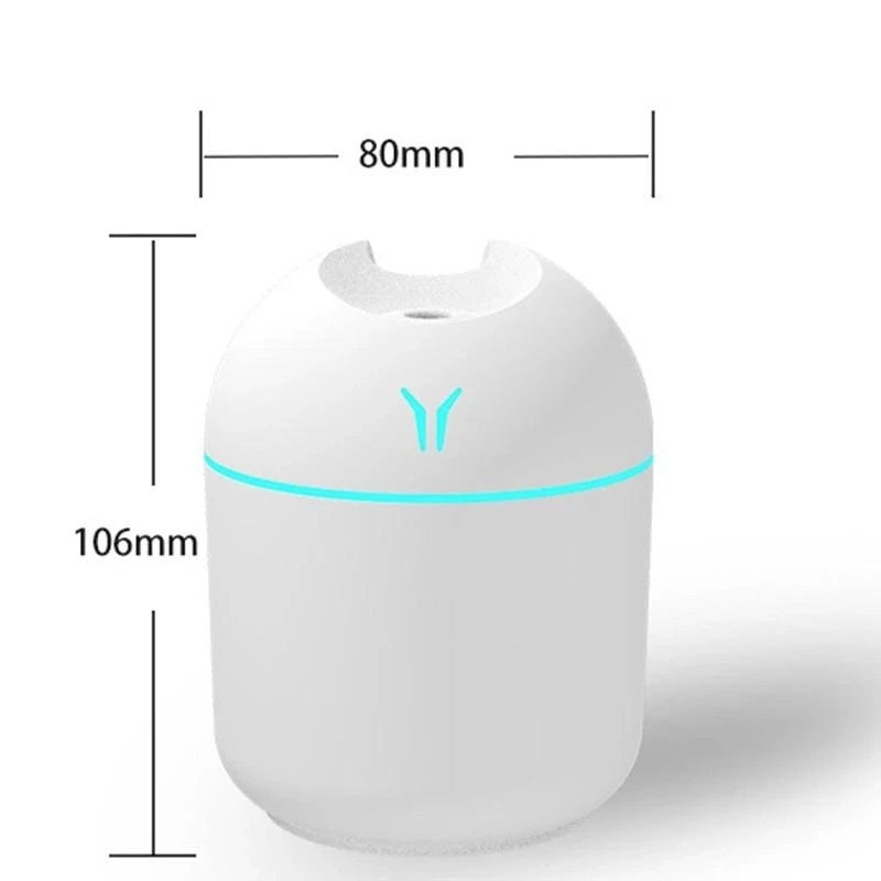 Mini USB Portable Humidifier