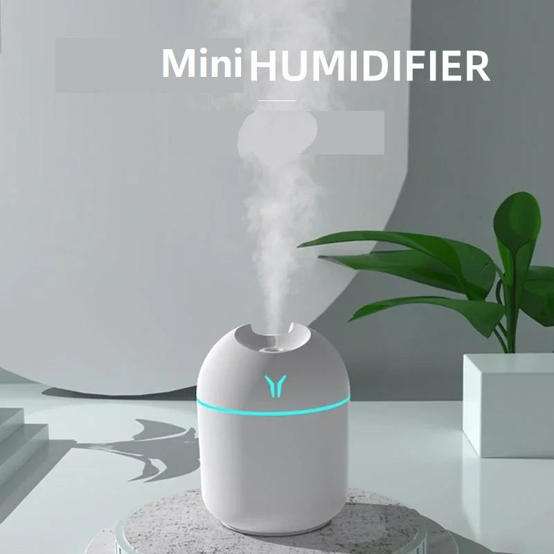 Mini USB Portable Humidifier